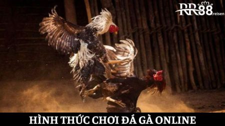 đá gà RR88