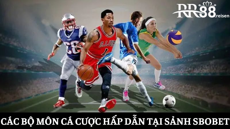 Tham gia Sbobet - Sảnh cá cược uy tín, xanh chín 2025 2 Những môn cá cược chấn động ở sảnh thể thao Sbobet